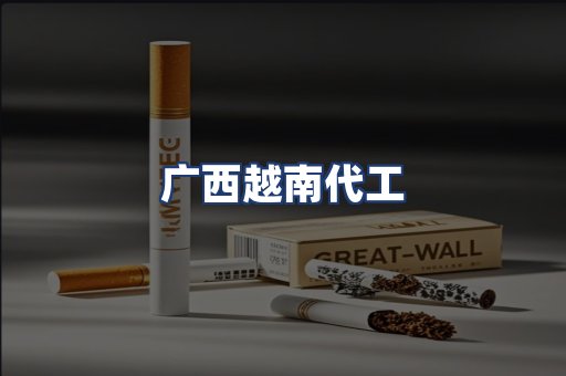 广西越南代工